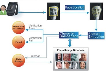 Face recognition attendance system